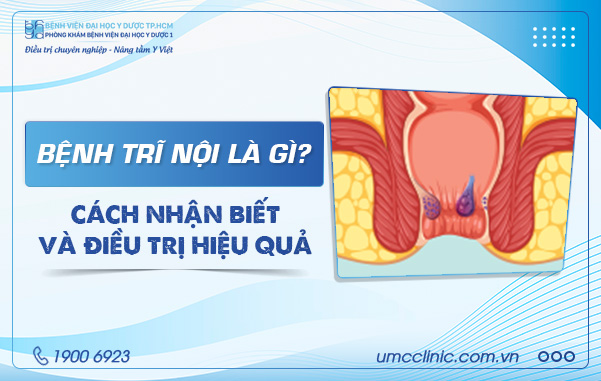 BỆNH TRĨ NỘI LÀ GÌ? CÁCH NHẬN BIẾT VÀ ĐIỀU TRỊ HIỆU QUẢ