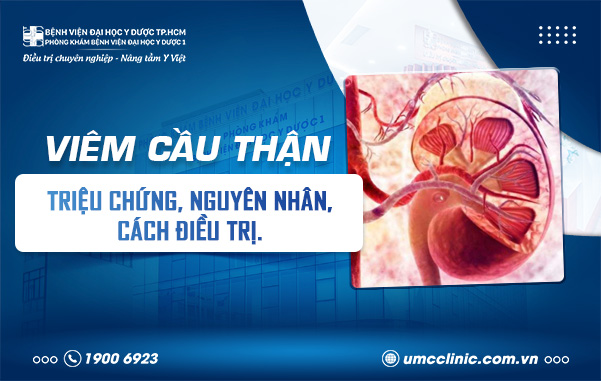 VIÊM CẦU THẬN: TRIỆU CHỨNG, NGUYÊN NHÂN, ĐIỀU TRỊ