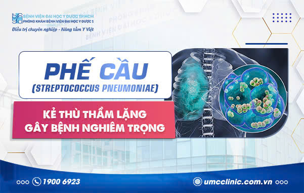 PHẾ CẦU (STREPTOCOCCUS PNEUMONIAE): KẺ THÙ THẦM LẶNG GÂY BỆNH NGHIÊM TRỌNG