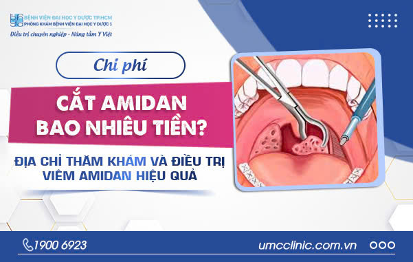 CHI PHÍ CẮT AMIDAN BAO NHIÊU TIỀN? ĐỊA CHỈ THĂM KHÁM VÀ ĐIỀU TRỊ VIÊM AMIDAN HIỆU QUẢ