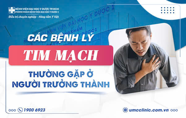 CÁC BỆNH TIM MẠCH THƯỜNG GẶP Ở NGƯỜI TRƯỞNG THÀNH