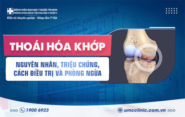 THOÁI HÓA KHỚP: DẤU HIỆU NHẬN BIẾT, NGUYÊN NHÂN, CÁCH ĐIỀU TRỊ VÀ PHÒNG NGỪA