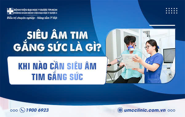 SIÊU ÂM TIM GẮNG SỨC LÀ GÌ? KHI NÀO CẦN SIÊU ÂM TIM GẮNG SỨC?