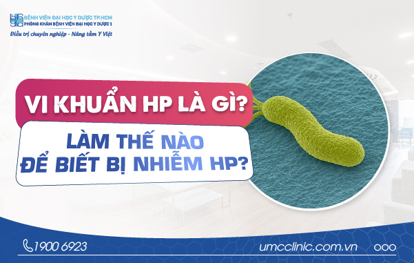 VI KHUẨN HP LÀ GÌ? LÀM THẾ NÀO ĐỂ BIẾT BỊ NHIỄM HP