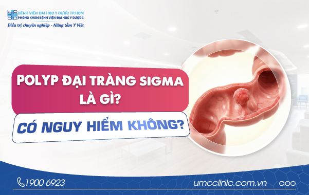 POLYP ĐẠI TRÀNG SIGMA LÀ GÌ? CÓ NGUY HIỂM KHÔNG?