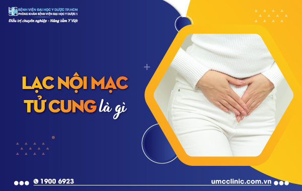 LẠC NỘI MẠC TỬ CUNG LÀ GÌ?