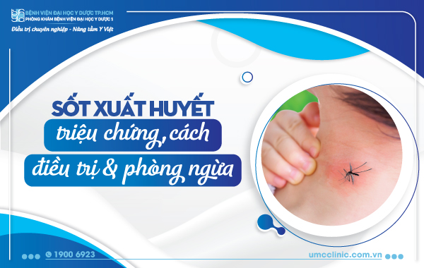 SỐT XUẤT HUYẾT: TRIỆU CHỨNG, CÁCH ĐIỀU TRỊ VÀ PHÒNG NGỪA