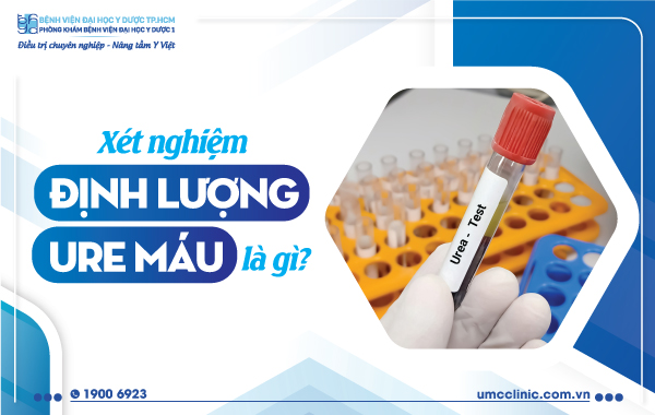 XÉT NGHIỆM ĐỊNH LƯỢNG URE MÁU LÀ  GÌ?