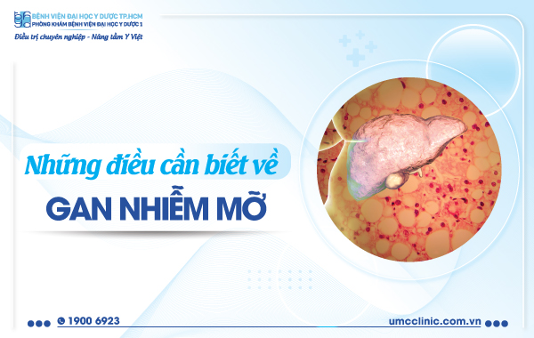 NHỮNG ĐIỀU CẦN BIẾT VỀ GAN NHIỄM MỠ
