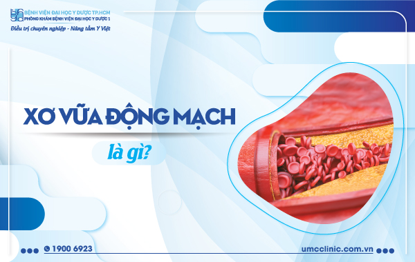 XƠ VỮA ĐỘNG MẠCH LÀ GÌ?