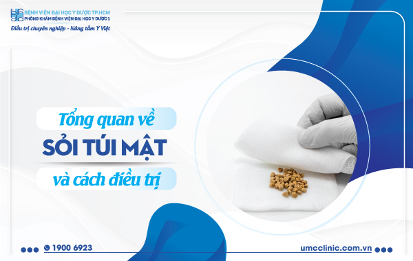 TỔNG QUAN VỀ SỎI TÚI MẬT VÀ CÁCH ĐIỀU TRỊ