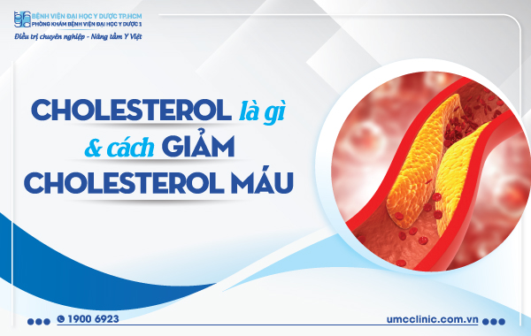CHOLESTEROL LÀ GÌ VÀ CÁCH GIẢM CHOLESTEROL MÁU