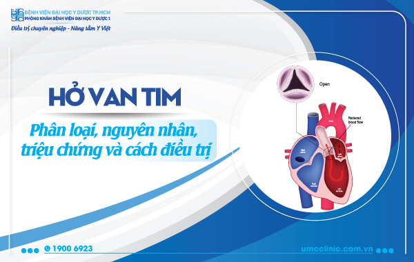 HỞ VAN TIM: PHÂN LOẠI, NGUYÊN NHÂN, TRIỆU CHỨNG VÀ CÁCH ĐIỀU TRỊ