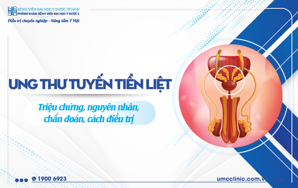 UNG THƯ TUYẾN TIỀN LIỆT: TRIỆU CHỨNG, NGUYÊN NHÂN, CHẨN ĐOÁN, CÁCH ĐIỀU TRỊ
