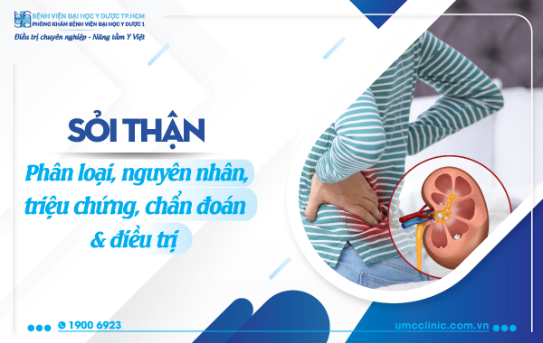 SỎI THẬN: PHÂN LOẠI, NGUYÊN NHÂN, TRIỆU CHỨNG, CHẨN ĐOÁN VÀ ĐIỀU TRỊ