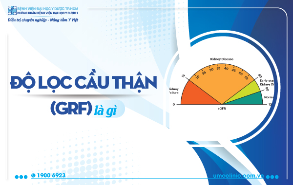 ĐỘ LỌC CẦU THẬN (GRF) LÀ GÌ?