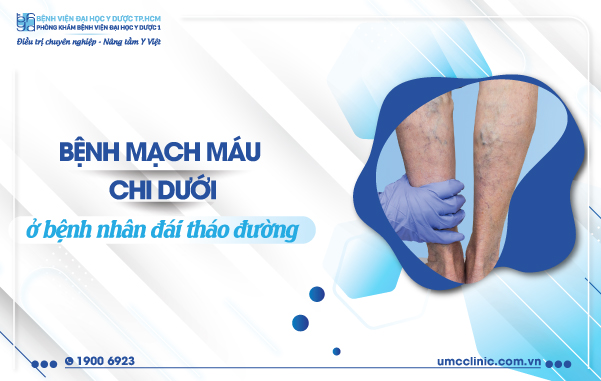 BỆNH MẠCH MÁU CHI DƯỚI Ở BỆNH NHÂN ĐÁI THÁO ĐƯỜNG