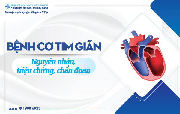 BỆNH CƠ TIM GIÃN: NGUYÊN NHÂN, TRIỆU CHỨNG, CHẨN ĐOÁN VÀ ĐIỀU TRỊ